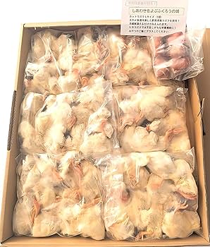 【国産】冷凍ヒヨコ　600羽　ふわふわ鮮度抜群！ Amazon.co.jp: フクロウ・タカ・ハヤブサ等の餌 冷凍ヒヨコ60羽